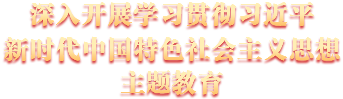 学习贯彻习近平新时代中国特色社会主义思想主题教育