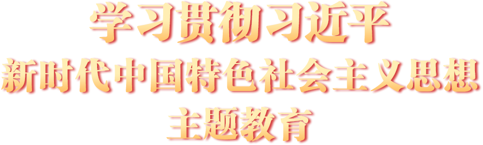 学习贯彻习近平新时代中国特色社会主义思想主题教育