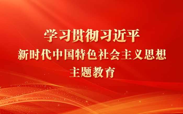 学习贯彻习近平新时代中国特色社会主义思想主题教育