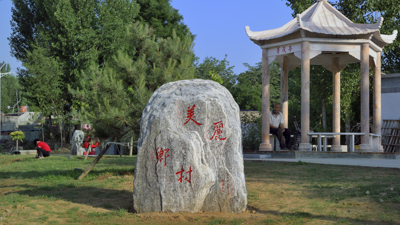 河北经贸大学大力改善人居环境，建设美丽乡村